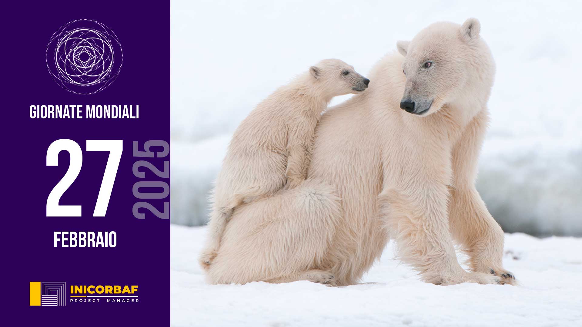 Giornata Mondiale dell’orso polare